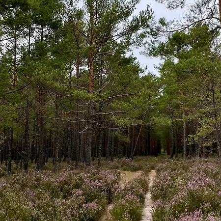 Morski Klimat Z Balia I Kominkiem * Sasino